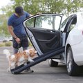 Alpha Paw Dog Car Ramp