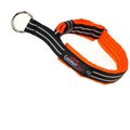 ComfortFlex Fully Padded Reflective Martingale Dog Collar, Hunter Orange, Large