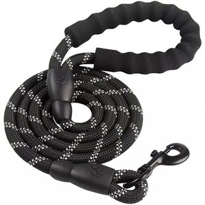 Doggy Tales Braided Rope Dog Leash, 5-ft long, Black