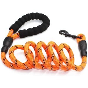 Doggy Tales Braided Rope Dog Leash, 5-ft long, Orange