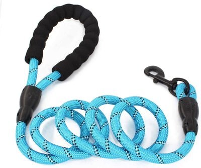 Doggy Tales Braided Rope Dog Leash, 5-ft long, slide 1 of 1