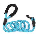Doggy Tales Braided Rope Dog Leash, 5-ft long, Blue