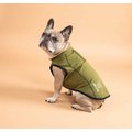 Shires Equestrian Products Digby & Fox Softshell Dog Coat, Olive, Small