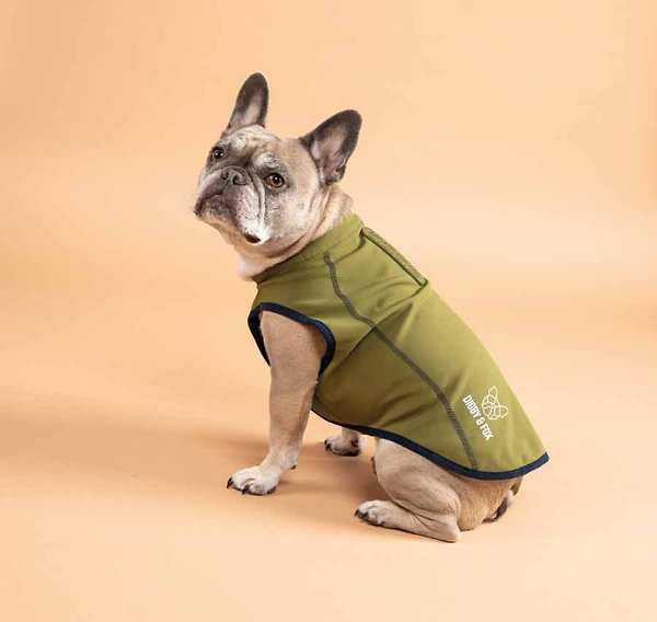 Shires Equestrian Products Digby & Fox Softshell Dog Coat, Olive, Medium slide 1 of 2