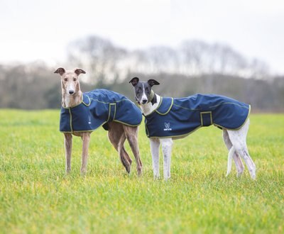 Shires Equestrian Products Digby & Fox Softshell Greyhound Dog Coat, slide 1 of 1