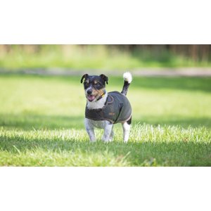 Shires Equestrian Products Digby & Fox Wax Dog Coat, XX-Small