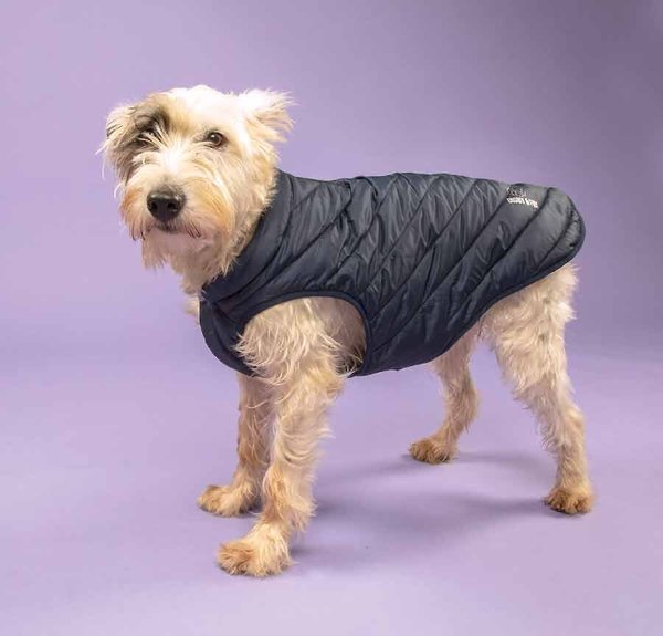 Shires Equestrian Products Digby & Fox Padded Dog Coat, Navy, Medium slide 1 of 2
