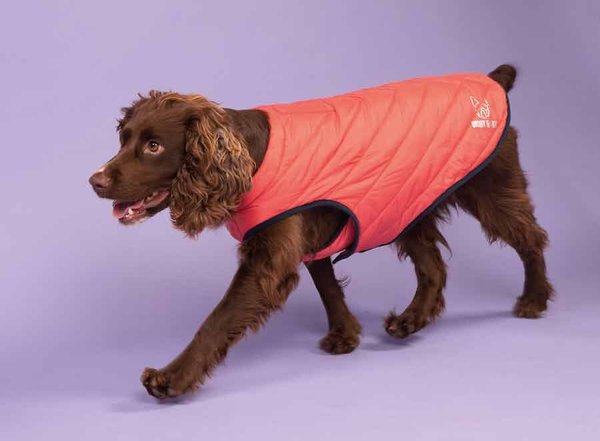 Shires Equestrian Products Digby & Fox Padded Dog Coat, Coral, Small slide 1 of 1