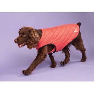 Shires Equestrian Products Digby & Fox Padded Dog Coat, Coral, X-Large