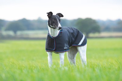 Shires Equestrian Products Digby & Fox Waterproof Greyhound Dog Coat, slide 1 of 1