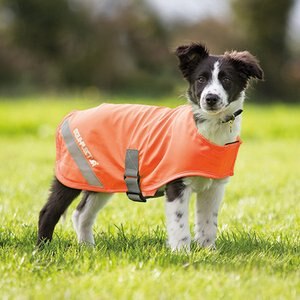 Shires Equestrian Products Equi-Flector Dog Safety Vest, Medium