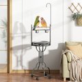 Coziwow by Jaxpety Outdoor/Indoor Bird Stand Feeder Perch