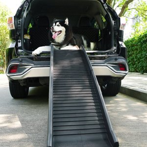 Coziwow by Jaxpety Foldable Dog Vehicle Ramp, Black, 61-in