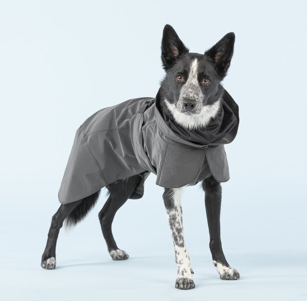 PAIKKA Visibility Dog Raincoat, 35 slide 1 of 10