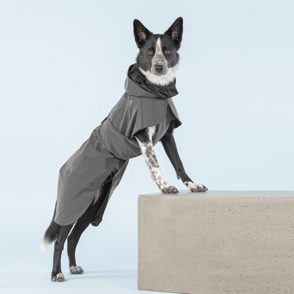 PAIKKA Visibility Dog Raincoat, 60 slide 1 of 10