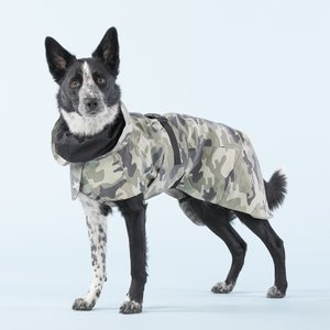 PAIKKA Recovery Dog Raincoat, 40