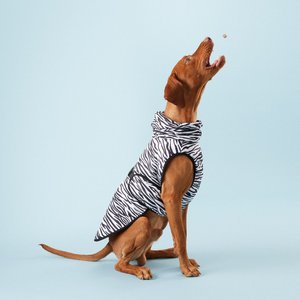 PAIKKA Cool & Bug Dog Vest, 45