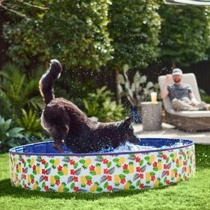 Frisco Outdoor Dog Swimming Pool, Hawaiian Print, XX-Large