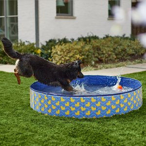 Frisco Outdoor Dog Swimming Pool, Rubber Ducky, XX-Large