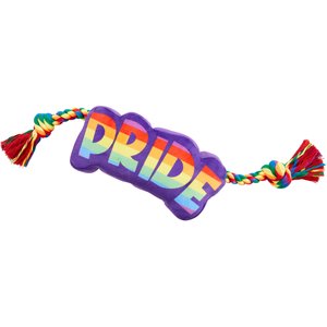 Frisco Pride Plush with Rope Squeaky Dog Toy