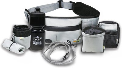 DogGoods Do Good The Everything Leash + Fanny Pack Dog Leash, slide 1 of 1