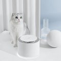 Furrytail Clear Drinking Filtered Water Cat Fountain, White, 64oz