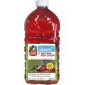 More Birds Bird Health+ Natural Red Ready-to-Use Nectar Hummingbird Food, 64-oz bottle