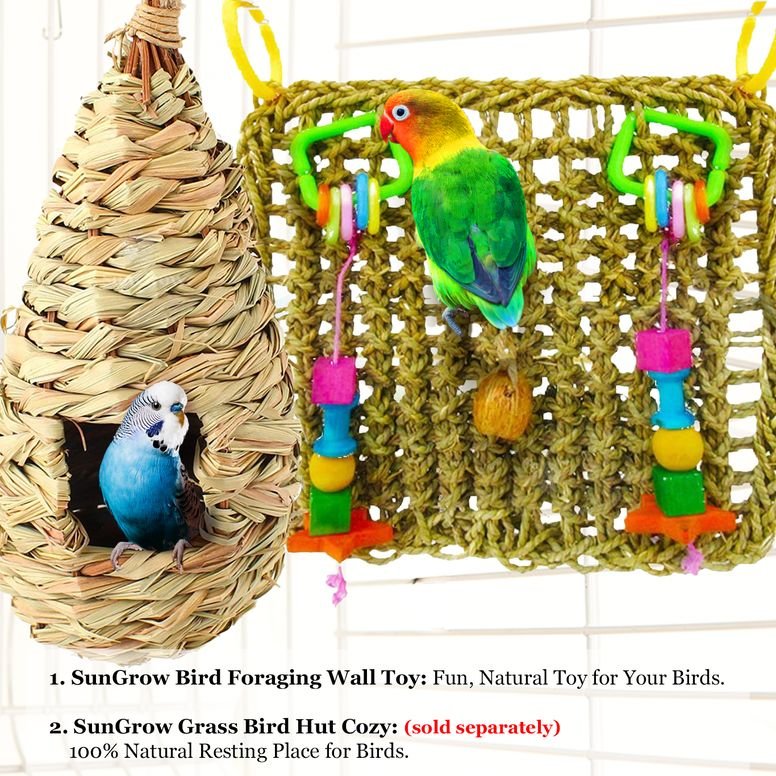 Tweet Heart Birdie Play Pad Parrot Toy