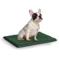 Coziwow Indoor Grass Portable Pee Turf Patch Dog Potty Trainer Pad, Green, 25-in X 20-in