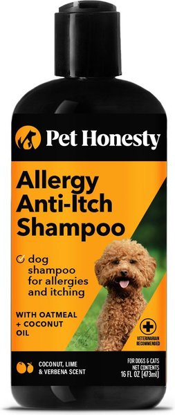 PetHonesty Anti-Itch Allergy Dog & Cat Shampoo, 16-oz bottle slide 1 of 7