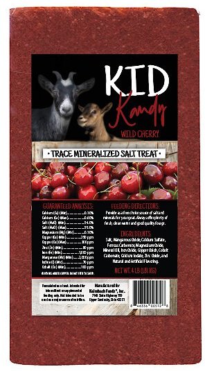 Kalmbach Feeds Kid Kandy Wild Cherry Salt Goat Treat, 4-lb brick slide 1 of 4