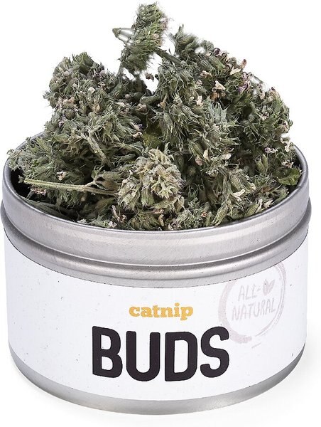 Litterbox.com Buds Catnip, 0.4-oz tin slide 1 of 6