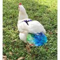 The Well Dressed Chick Batik Watercolors Chicken Diaper, Standard