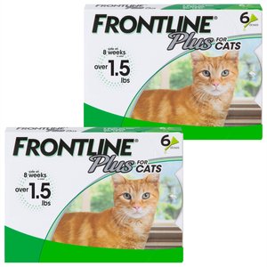 Frontline Plus Flea & Tick Spot Treatment for Cats, over 1.5 lbs, 6 Doses (6-mos. supply), bundle of 2 (12-mos. supply)