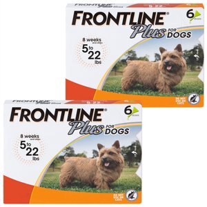 Frontline Plus Flea & Tick Spot Treatment for Small Dogs, 5-22 lbs, 6 Doses (6-mos. supply), bundle of 2 (12-mos. supply)