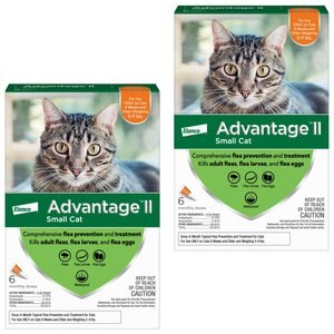 Advantage II Flea Spot Treatment for Cats, 5-9 lbs, & Ferrets, 6 Doses (6-mos. supply), bundle of 2 (12-mos. supply)