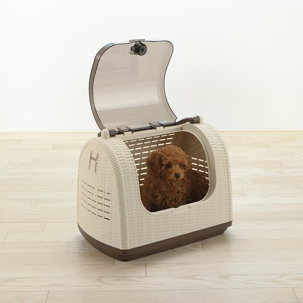 Richell Faux Wicker Dog & Cat Carrier, Ivory slide 1 of 7