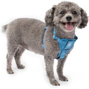 Kurgo Tru-Fit Quick Release & Seatbelt Tether Smart Dog Harness, Blue, Small