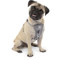 Kurgo Tru-Fit Quick Release & Seatbelt Tether Smart Dog Harness, Charcoal, Small