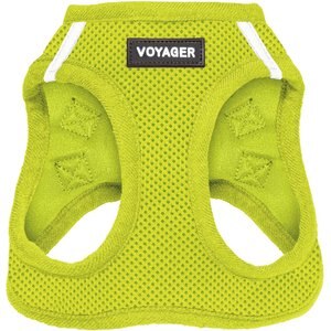 Best Pet Supplies Voyager Step-in Air Dog Harness, Lime Green with Matching Trim, XXX-Small