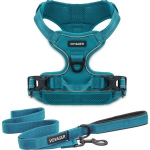 Best Pet Supplies Voyager Dual Attachment Outdoor Dog Harness & Leash Bundle, Turquoise, X-Small