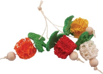 A&E Cage Company Bunch of Fruits Loofah Small Pet Toy, slide 1 of 1