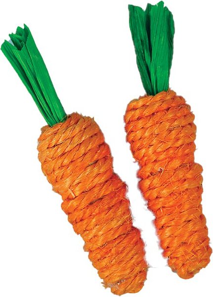 A&E Cage Company Carrots Loofah Small Pet Toy slide 1 of 2