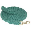 Gatsby Cotton Bolt Snap Horse Lead, 8-ft, Teal