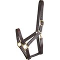 Gatsby Track Style Turnout Horse Halter & Snap, Horse
