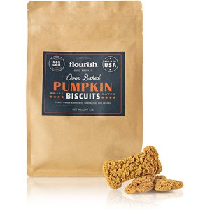 Flourish Pumpkin Biscuit Dog Treats, 1-lb bag