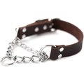 Mighty Paw Leather Martingale Dog Collar, Small