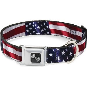Buckle-Down American Flag Dog Collar, Medium