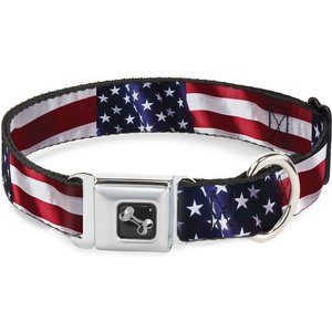 Buckle-Down American Flag Dog Collar, Wide-Medium