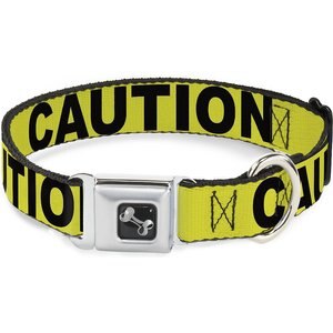 Buckle-Down CAUTION Dog Collar, Large